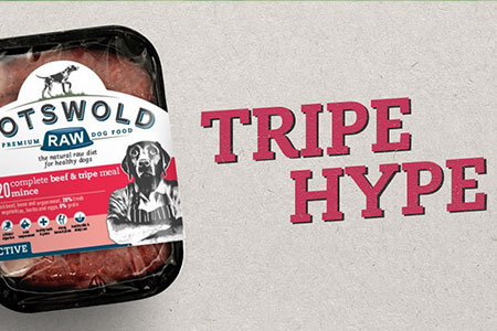 The Benefits of Tripe for Dogs