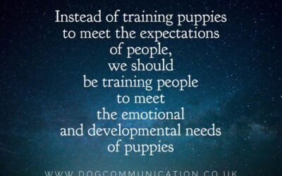 What should we expect from puppies?
